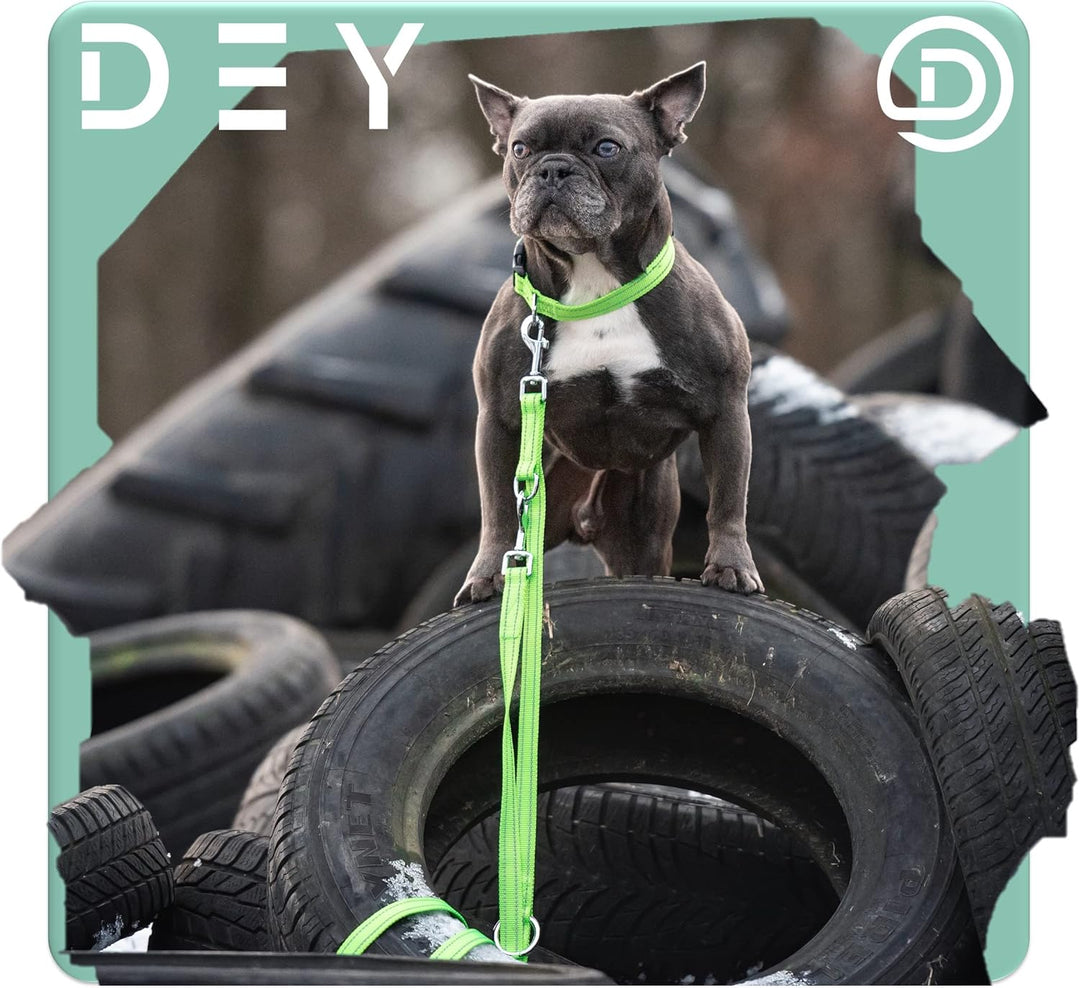 DEY - Premium Hundeleine Nylon 2m | Reflektierend | 3fach Verstellbar | für Kleine, Mittelgrosse u.