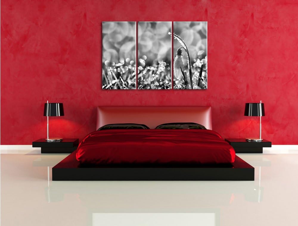 Pixxprint Schneeglöckchen auf Frühlingswiese als Leinwandbild/Grösse: 3 Teilig (120x80 cm) cm/Wandbi