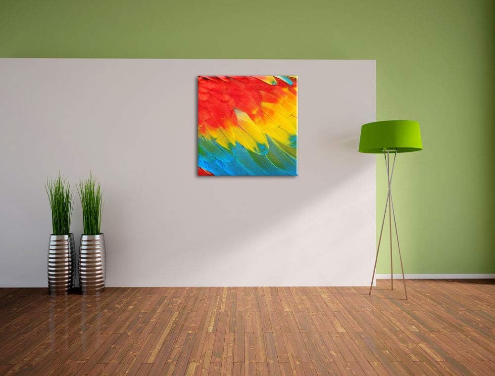 Bunte Papageien Flügel, Format: 70x70 auf Leinwand, XXL riesige Bilder fertig gerahmt mit Keilrahmen