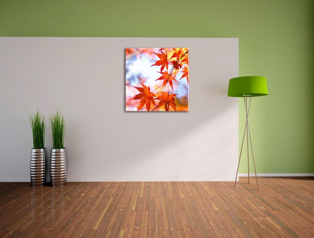Roter Ahorn im Sonnenlicht, Format: 70x70 auf Leinwand, XXL riesige Bilder fertig gerahmt mit Keilra