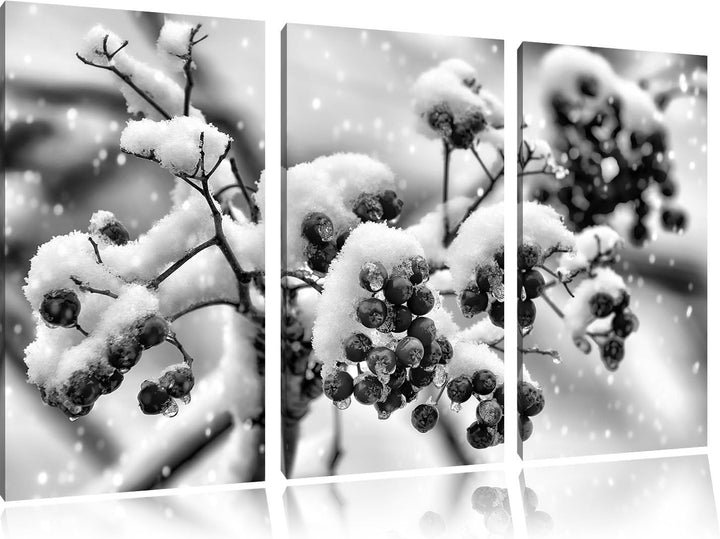 Pixxprint Gefrorene Äste als Leinwandbild/Grösse: 3 Teilig (120x80) / Wandbild/Kunstdruck/fertig bes