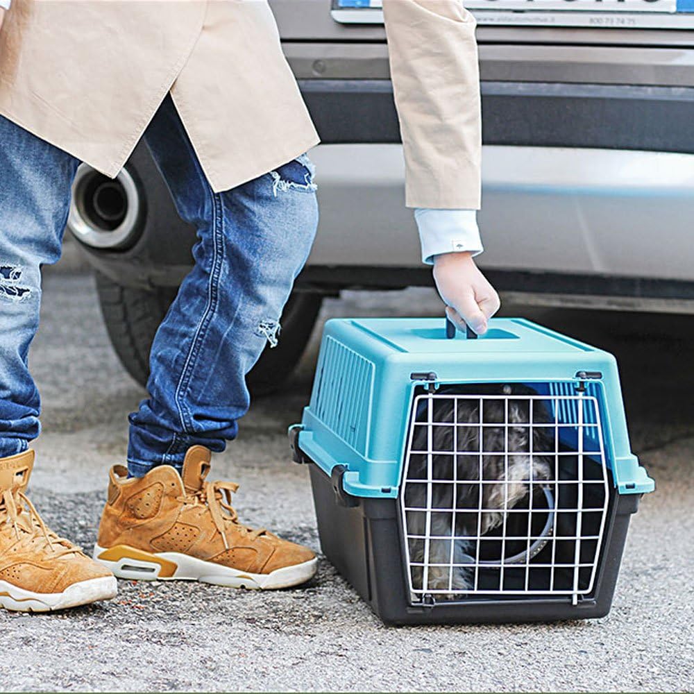 Ferplast Atlas 10 Cat und Dog Carrier blau, blau