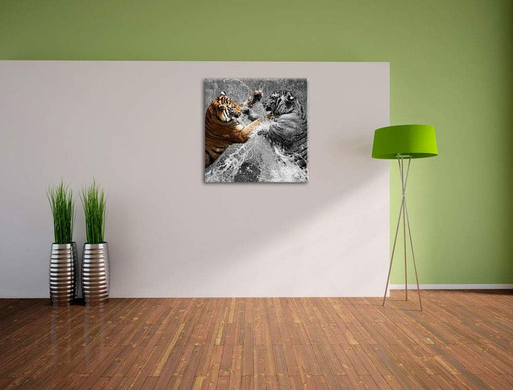 Pixxprint prachtvolle Tiger kämpfen schwarz/weiss, Format: 70x70 auf Leinwand, 70x70