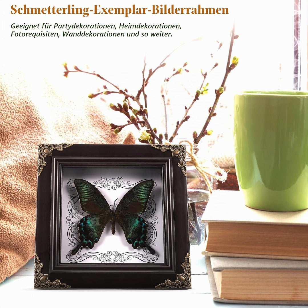 Ciieeo Fotorahmen Mit Schmetterlingsmuster Echter Schmetterling Gerahmt Konservierte Schmetterlingsa