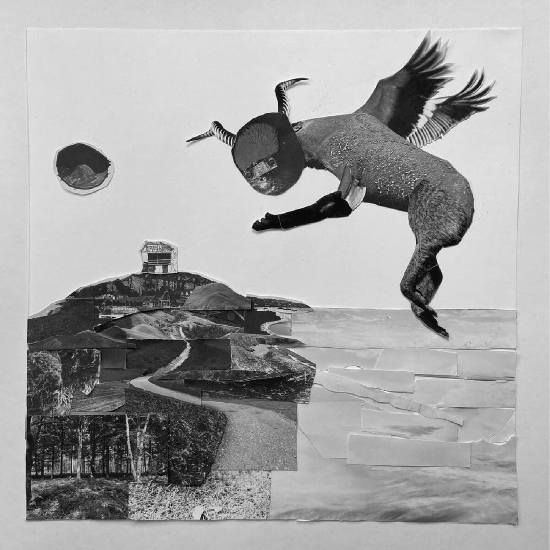 Fantasy Eco-Friendly, Vinyl