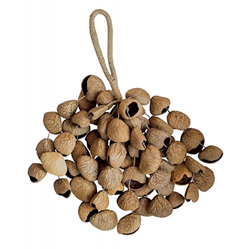 Seedshaker XXL Pangi aus Panginussschalen auf Naturschnur, Percussion Naturgeräusche Shaker Instrume