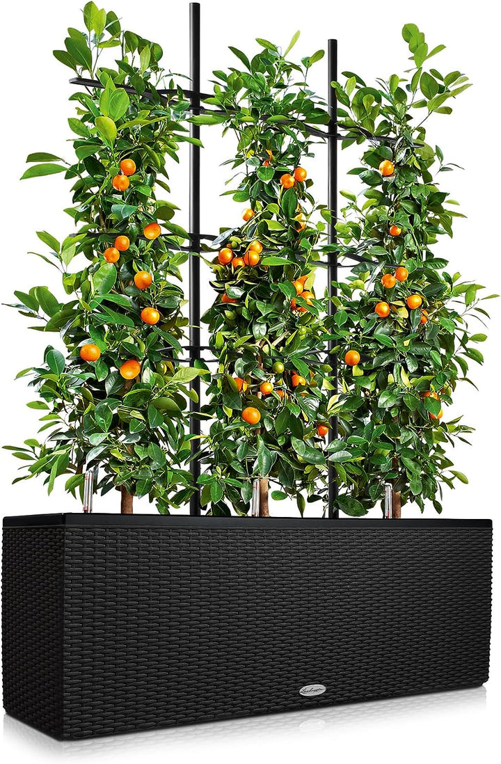 LECHUZA TRIO Cottage 30 graphitschwarz 15002 Pflanzgefäss mit Erd-Bewässerungs-System 100x32,5x34,5