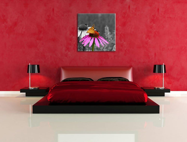 Pixxprint Schmetterling auf Kornblume als Leinwandbild Quadratisch/Grösse: 70x70 / Wandbild/Kunstdru