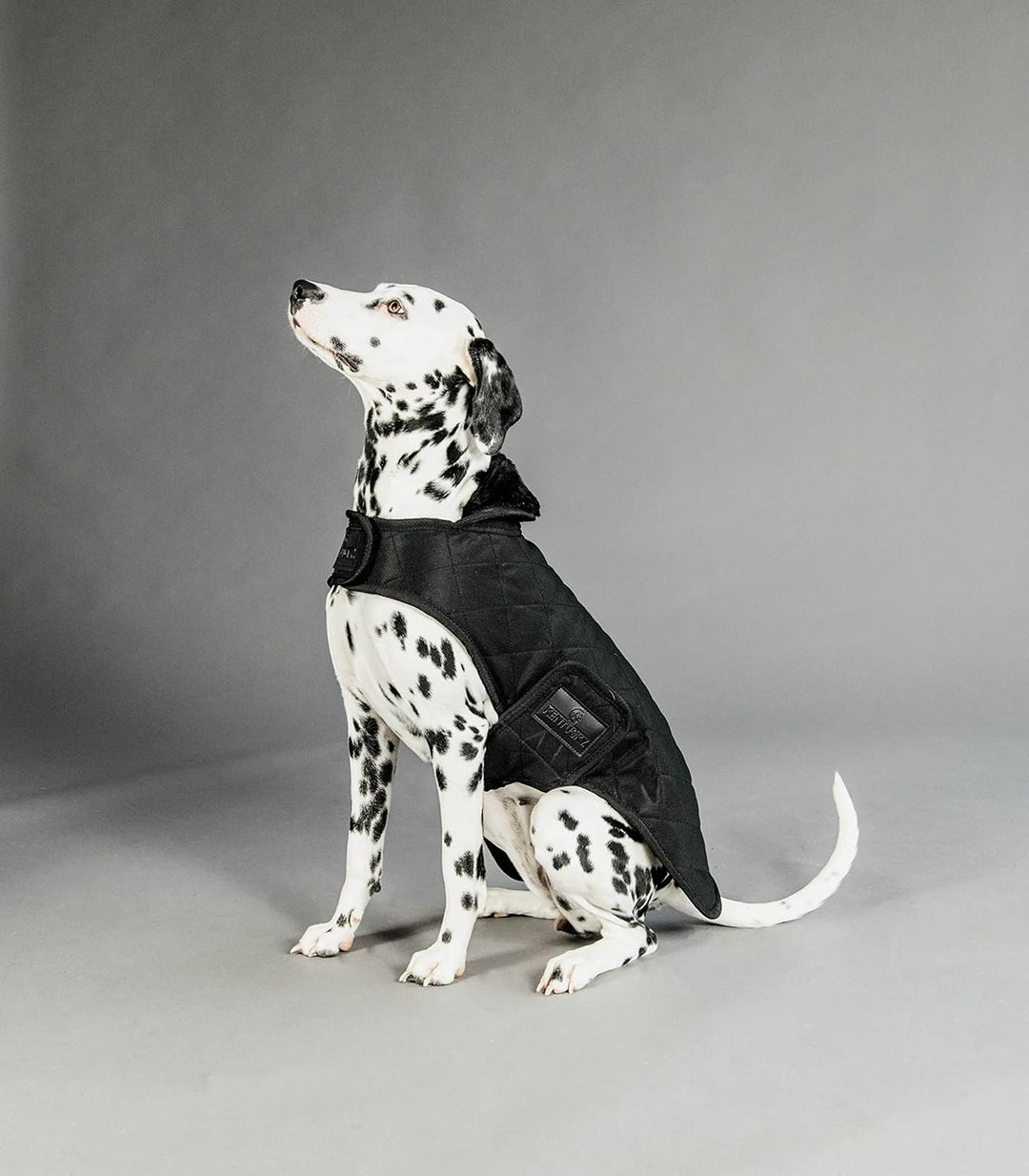 Kentucky Dogwear Hundemantel 160g, Grösse:S/M, Farbe:schwarz schwarz S/M, schwarz S/M