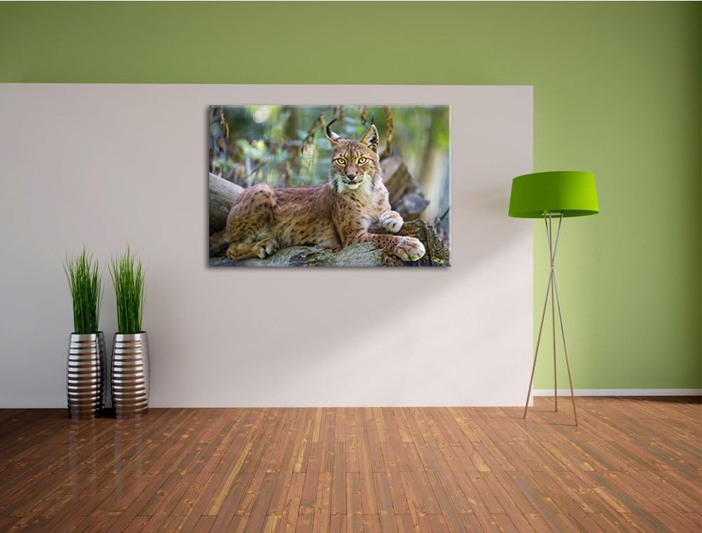 Pixxprint aufmerksamer Luchs auf Leinwand, XXL riesige Bilder fertig gerahmt mit Keilrahmen, Kunstdr