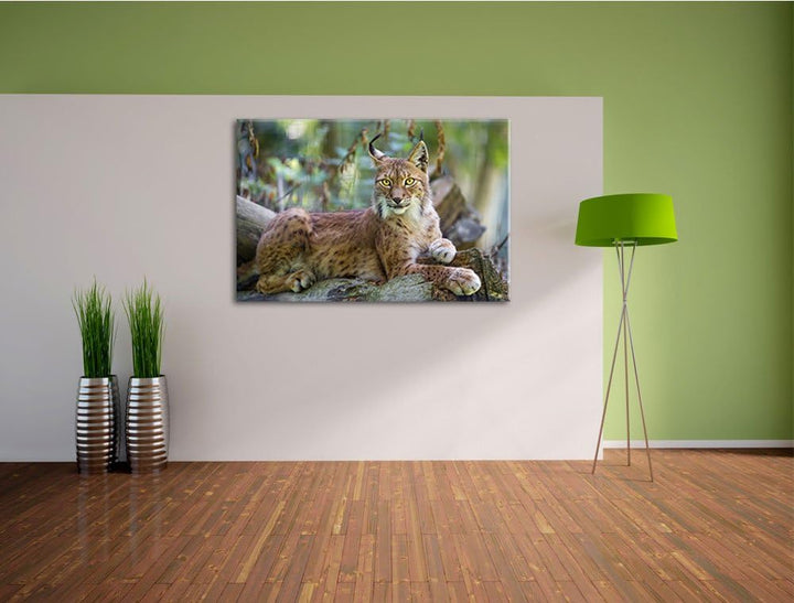 Pixxprint aufmerksamer Luchs auf Leinwand, XXL riesige Bilder fertig gerahmt mit Keilrahmen, Kunstdr