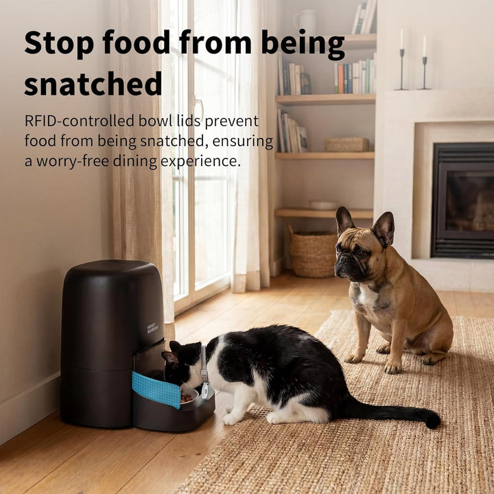 Futterautomat Katze RFID, 5G WiFi Futterspender Katze mit Collar-Tag-Sensor, 4.6L Katzenfutter Autom