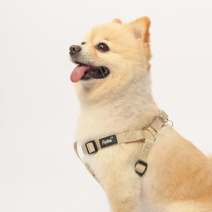 PUPTECK Hundegeschirr, kein Ziehen, weich, verstellbar, Nylon, zum Hineinsteigen, für Welpen, Spazie