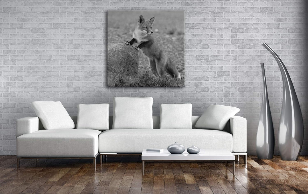 deyoli Verspielter süsser Fuchs Format: 70x70 Effekt: Schwarz&Weiss als Leinwandbild, Motiv auf Echt