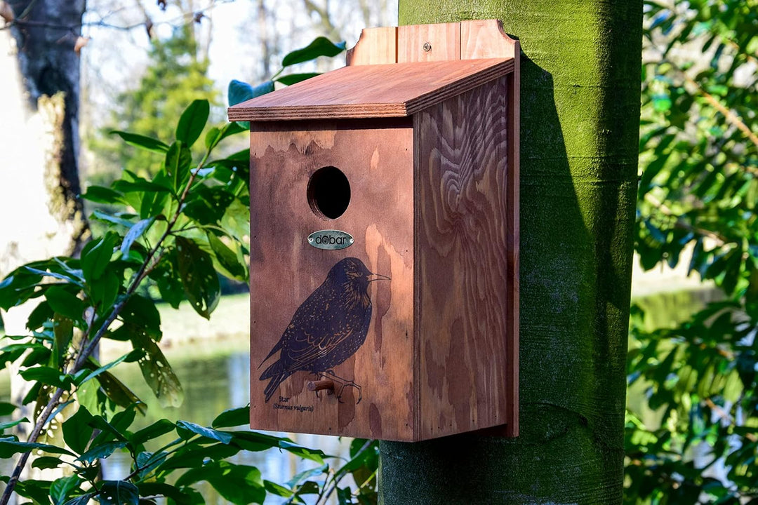 dobar® green label 22362FSCe Nistkasten "Star" - Starenkasten aus Holz - Nisthilfe für Wildvögel - W