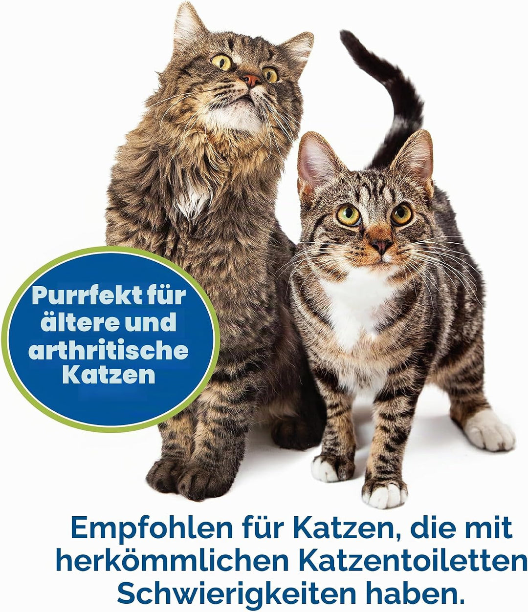 KittyGoHere Senior-Katzentoilette, niedriger Einstieg, komfortable Grösse, ideal für ältere und arth