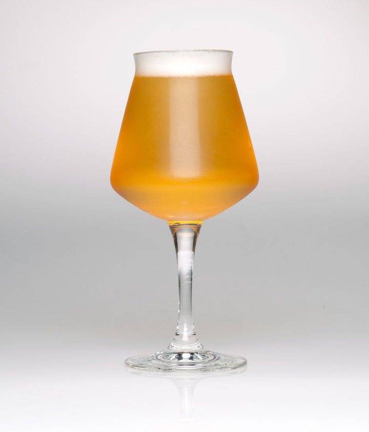 Rastal - 6 Craft Beer Verkostungs Gläser - Modell TEKU 3.0-42 cl. (14,8 Imp.FL.oz.)