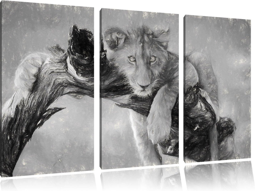 Pixxprint Junger Löwe in der Natur Kunst Kohle Effekt 3-Teiler Leinwandbild 120x80 Bild auf Leinwand