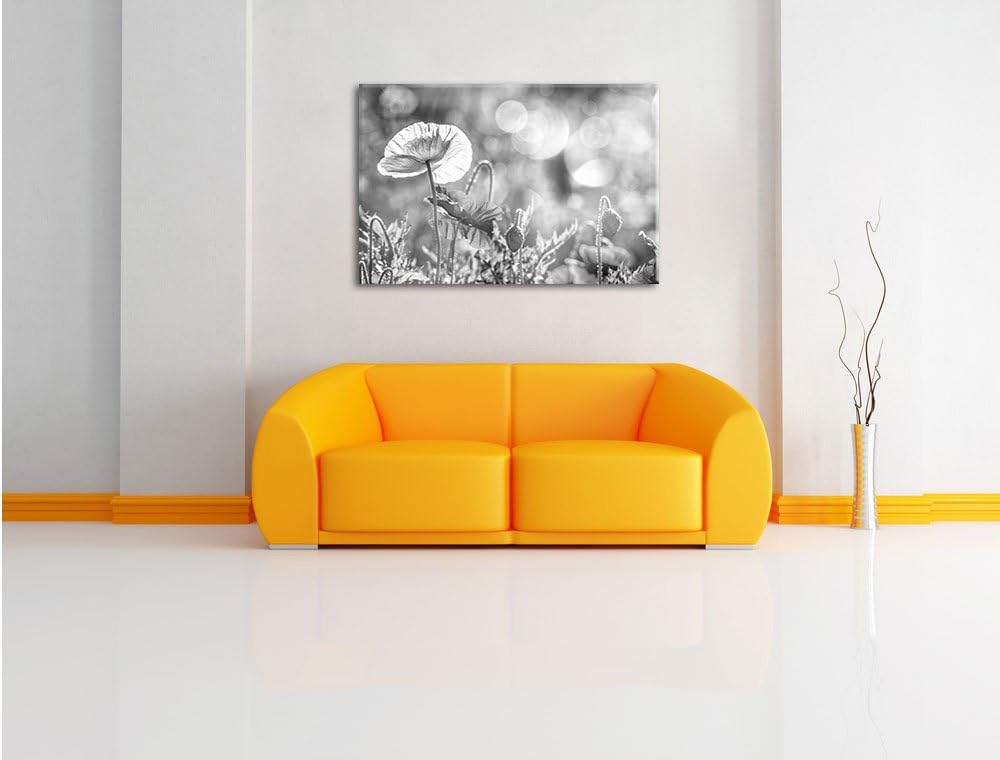 Pixxprint Kalifornischer Mohn im Frühling als Leinwandbild/Grösse: 100x70 cm/Wandbild/Kunstdruck/fer