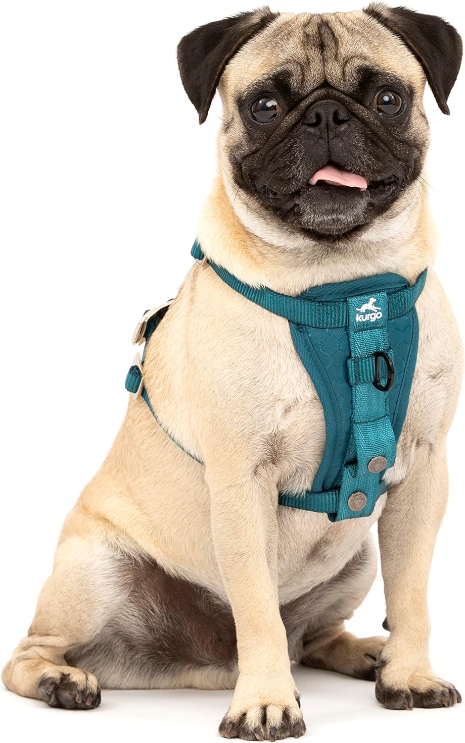 Kurgo Tru-Fit Hundegeschirr, Crash-Test-erprobtes Auto-Sicherheitsgurt, Für Hunde von 2 bis 5 kg, Gr