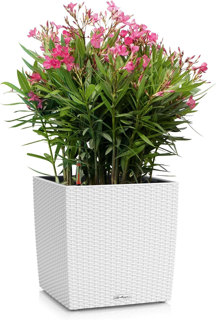 LECHUZA CUBE Cottage 30 weiss 15376 Pflanzgefäss mit Erd-Bewässerungs-System 29,5x29,5x30 cm Weiss,