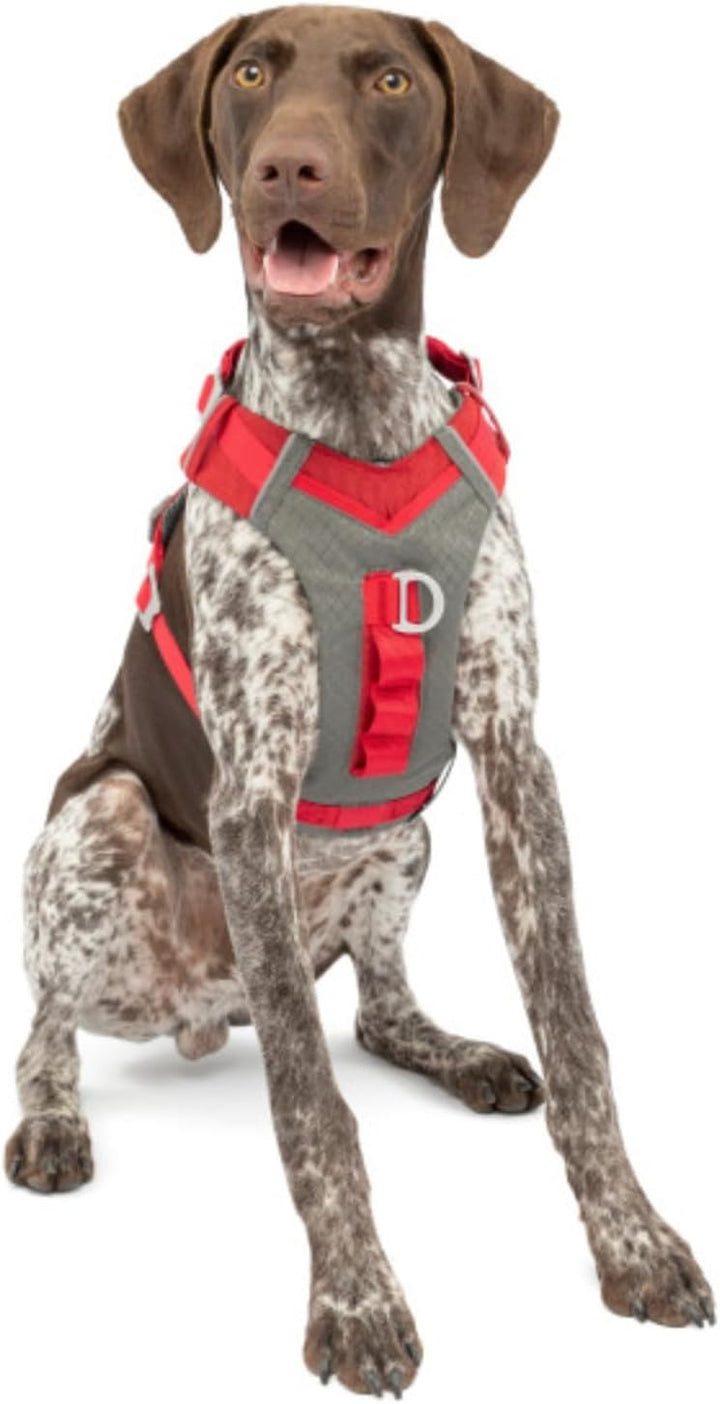Kurgo Journey Air Hundegeschirr, Mit gepolstertem Brustteil und Rückgriff, Für Hunde von 11-23 kg, G