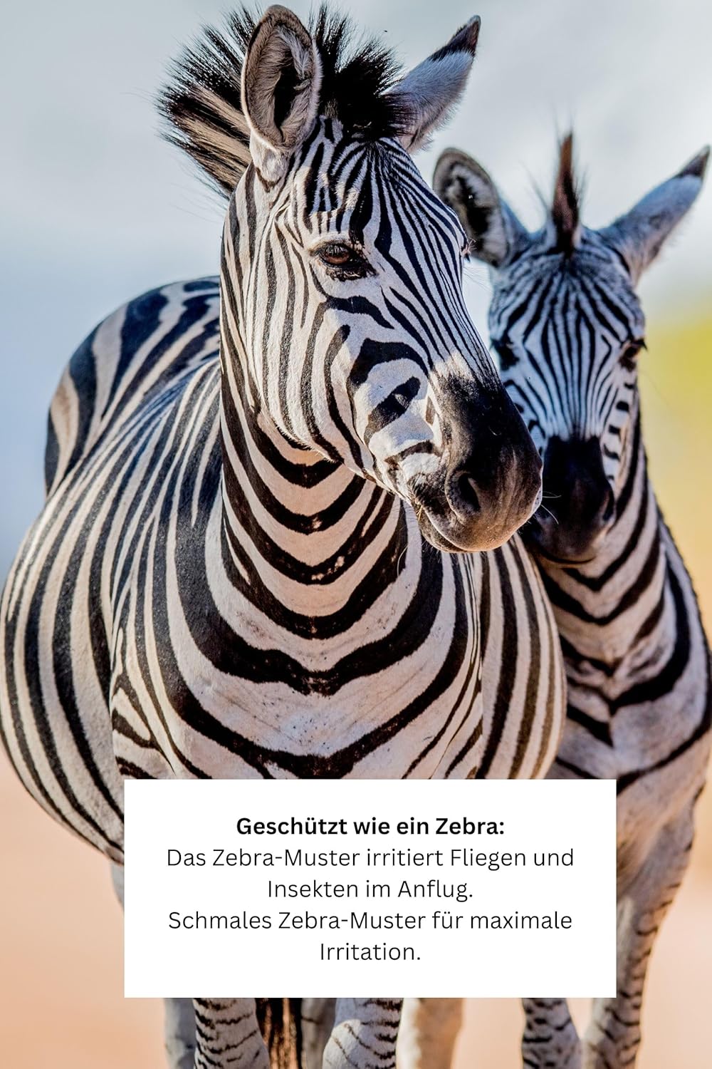 HKM Fliegendecke mit Halsteil -Zebra- mit Bauchlatz, weiss/schwarz, 135 Weiss/Schwarz 135 cm, Weiss/