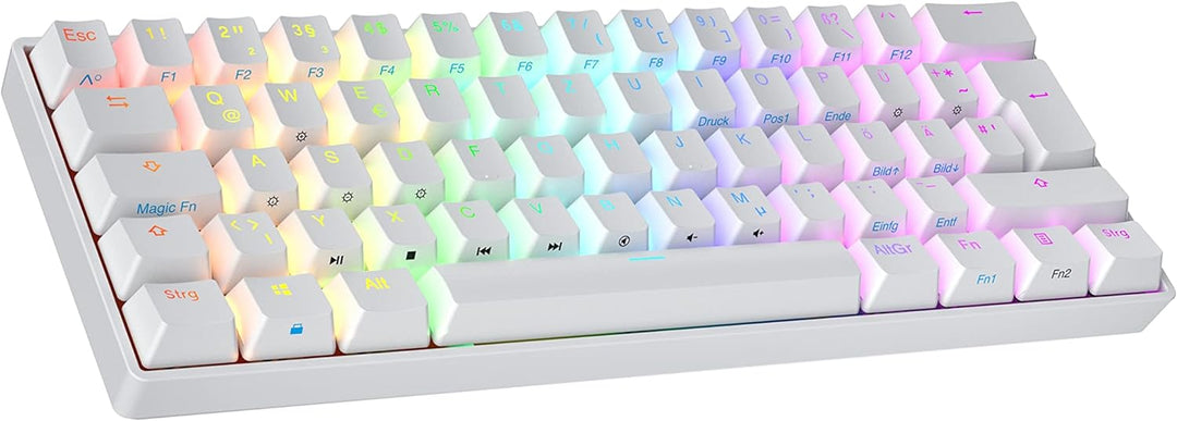 Ranked N60 Nova Mechanische 60 Prozent Tastatur | Hotswap Gaming Keyboard | 62 Programmierbare Taste