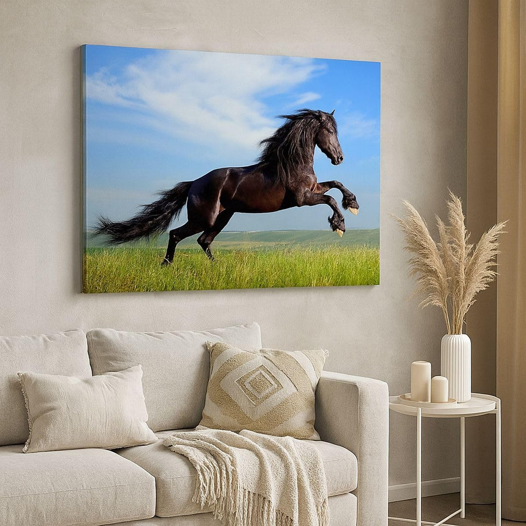 Bilder auf Leinwand Schwarzes Pferd Pferd Galopp Leinwandbild 70x50cm Wandbilder Dekoration Wohnzimm