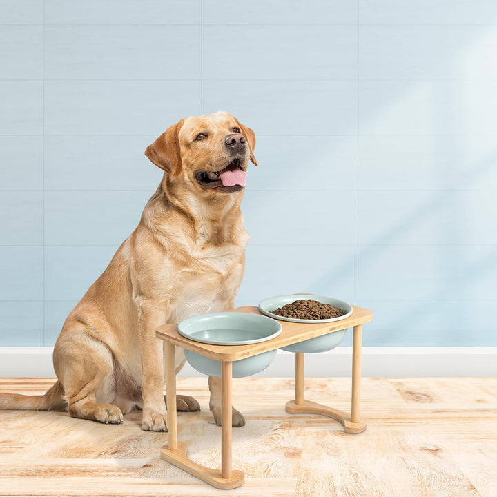 SPUNKYJUNKY Futterstation Hund Erhöht Hundenapf Keramik Erhöhter Futternapf für grosse Hunde (1600ml