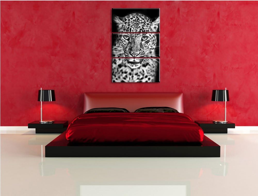 Pixxprint Stolzer Leopard als Leinwandbild/Grösse: 3 Teilig (120x80) cm/Wandbild/Kunstdruck/fertig b