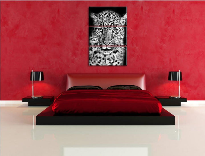 Pixxprint Stolzer Leopard als Leinwandbild/Grösse: 3 Teilig (120x80) cm/Wandbild/Kunstdruck/fertig b