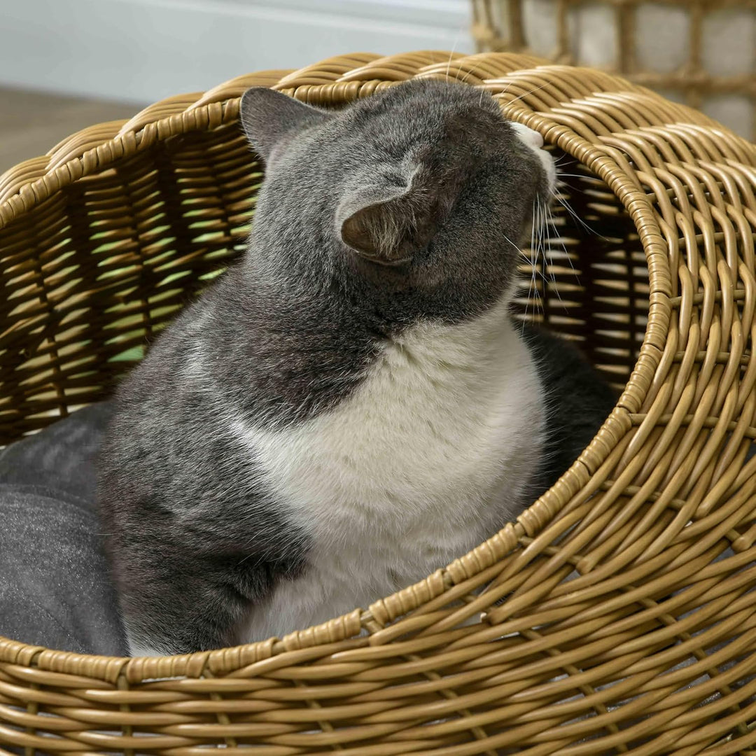 PawHut Rattan Katzenkorb Katzenhaus Katzenhütte mit Kissen für Katzen bis 4 kg, Haustierbett Katzenh