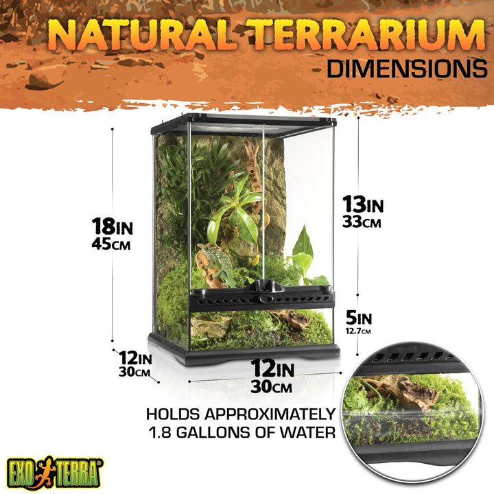 Exo Terra Terrarium aus Glas, mit einzigartiger Front Belüftung, 30 x 30 x 45cm schwarz 30x30x45cm,