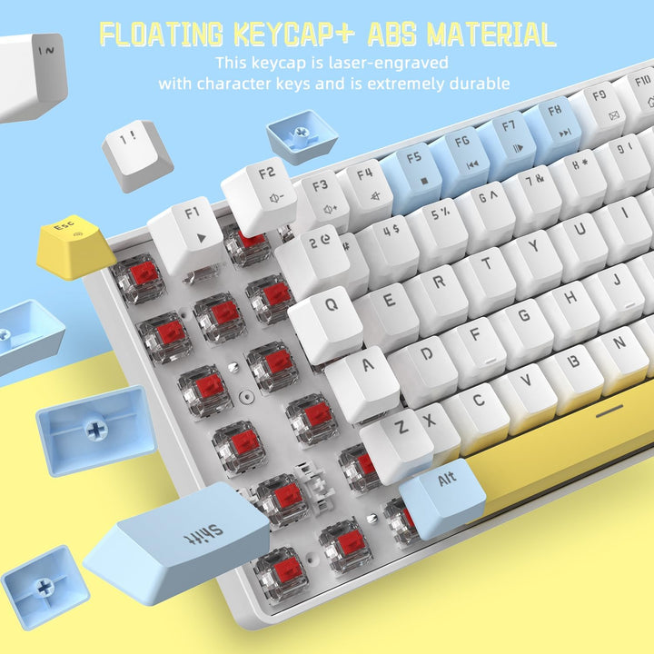 Hot-Swap-fähige mechanische Gaming-Tastatur,80% kabelgebunden tragbar gemischte Farben kompakte Tast