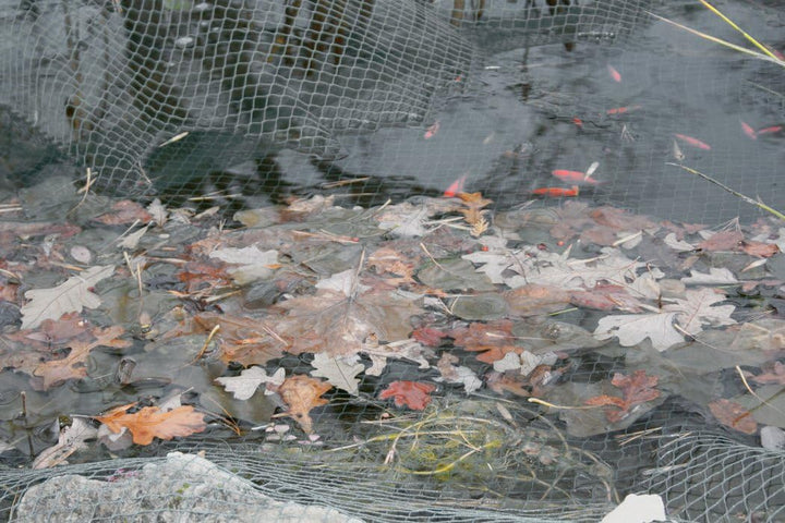 Laguna Teichnetz, Netz für Teiche, schwarz, 6 x 9m 6 x 9 m, 6 x 9 m