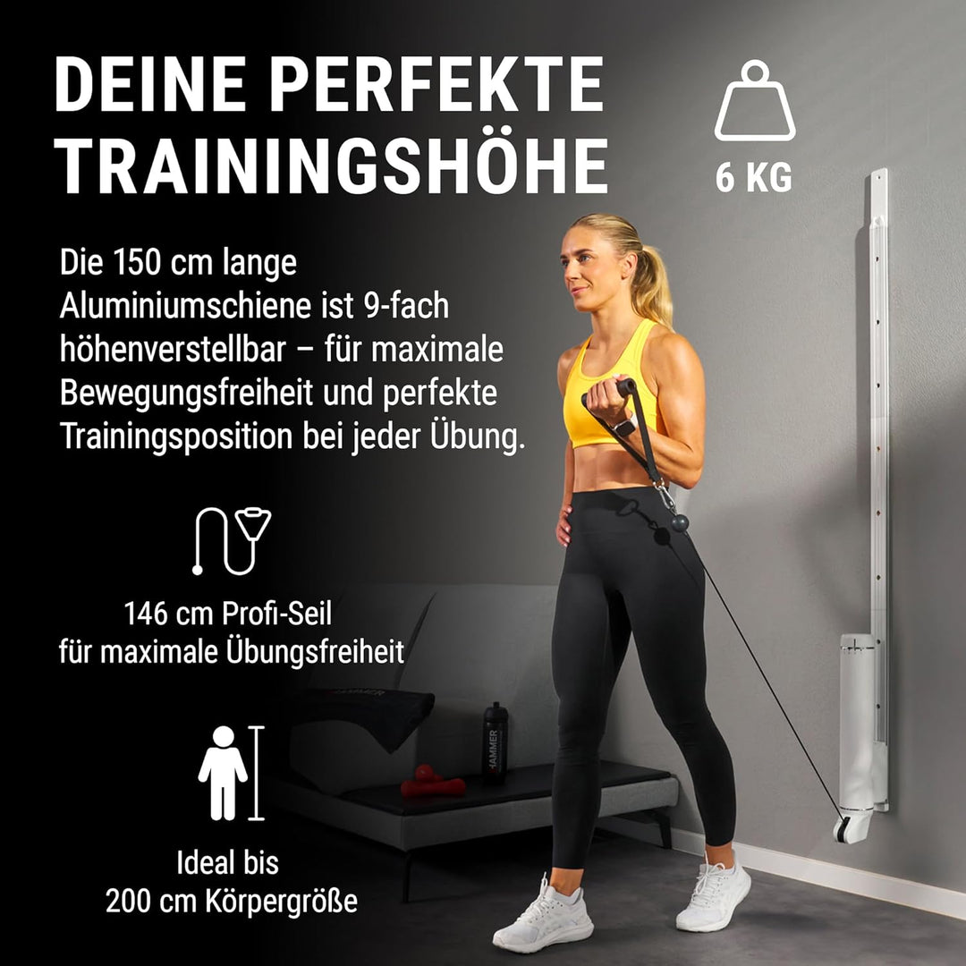 HAMMER Finnlo Kraftstation CablePull, Kabelzug-Trainer, 6 Widerstandsstufen, 146 cm Profi-Seilzuglän