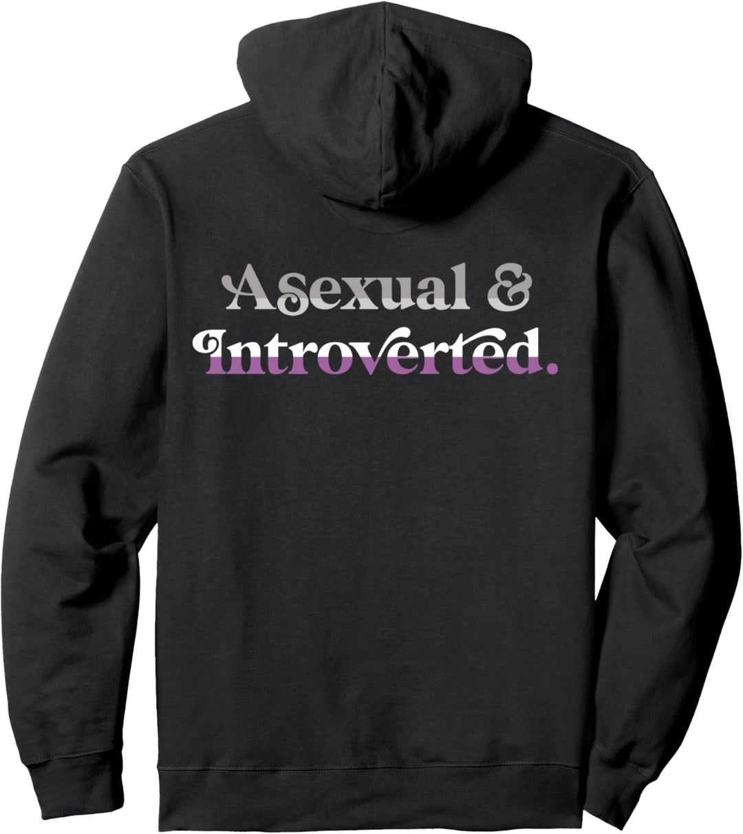 Asexual And Introverted Funny Aesthetic LGBTQIA Pride Flag Pullover Hoodie