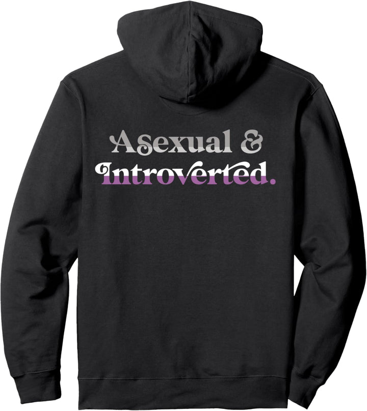 Asexual And Introverted Funny Aesthetic LGBTQIA Pride Flag Pullover Hoodie
