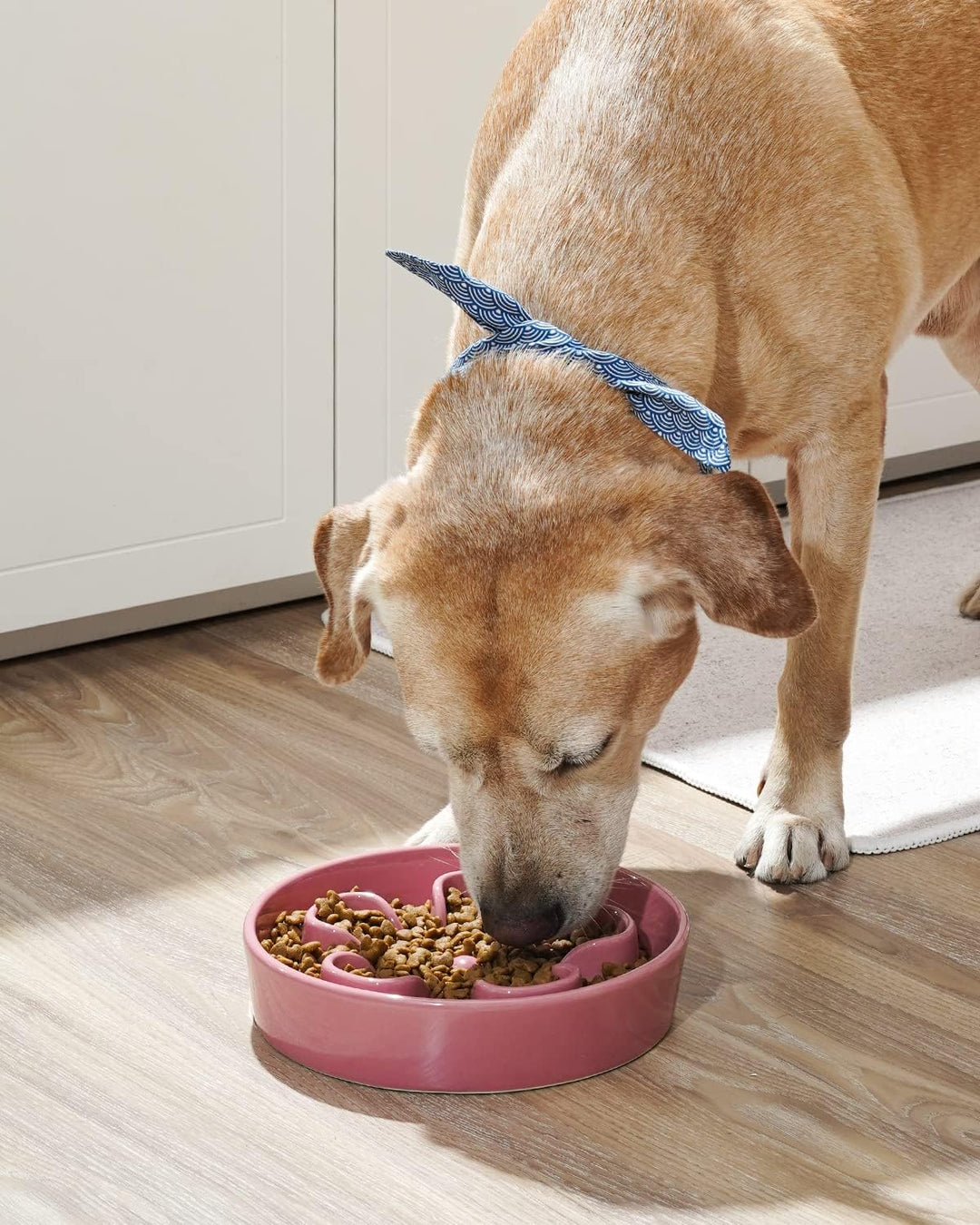 LE TAUCI Hundenapf aus Keramik, Antischlingnapf für Mittelgrosse und Kleine Hunde, Langsam Fressen u