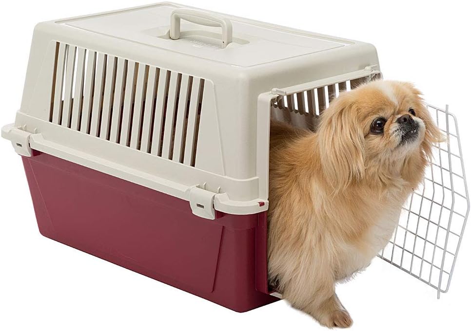 Ferplast Transportbox für Haustiere Hundebox für kleine Hunde und Katzen Atlas 30 EL, Transportbox f