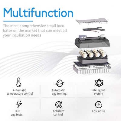 Smart Mini Egg Hatching 12 Eier Inkubator Automatische Temperaturregelung Hatcher für Hühner, Enten,