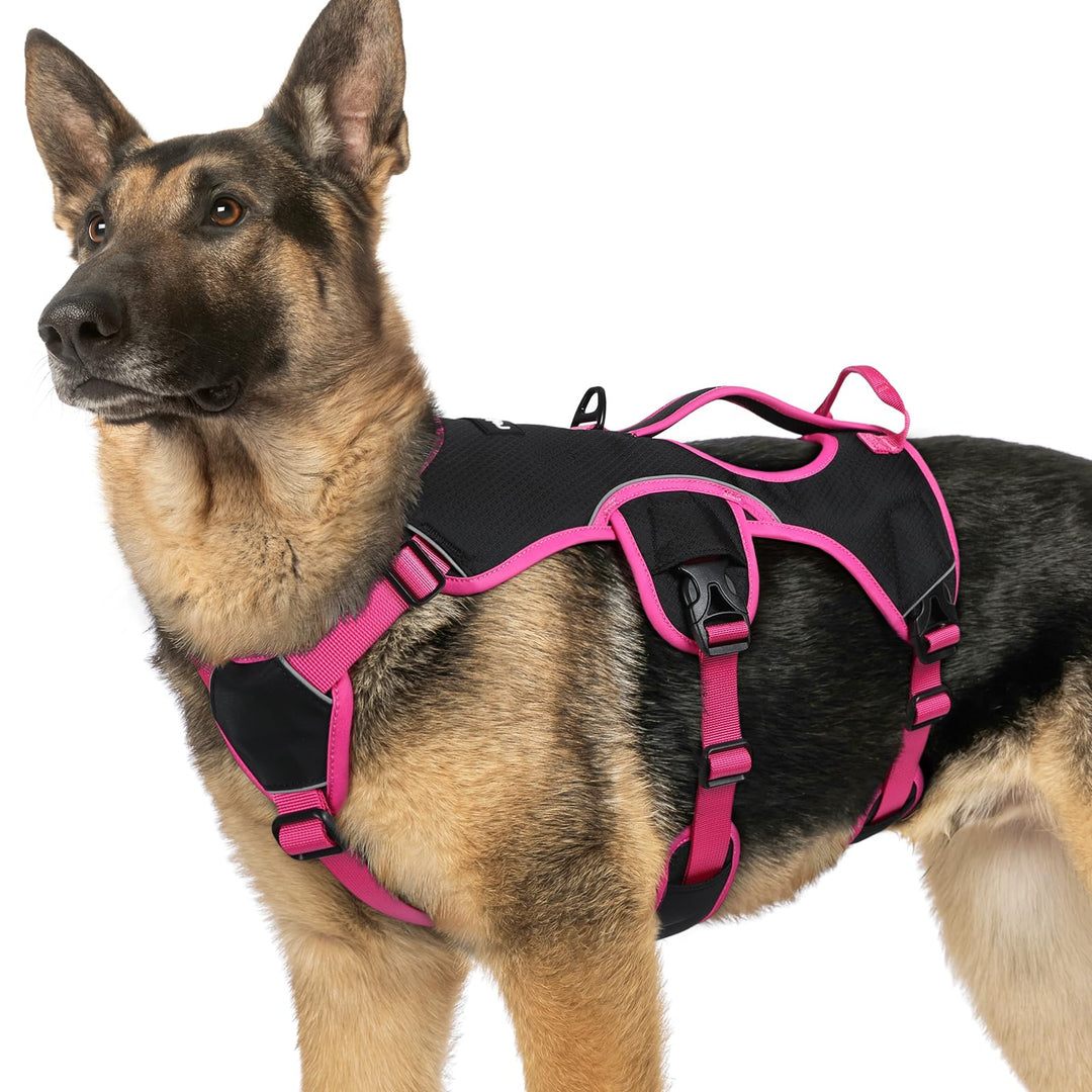 rabbitgoo Ausbruchsicheres Hundegeschirr Grosse Hunde mit Griff, Anti Zug Sicherheitsgeschirr Hund A