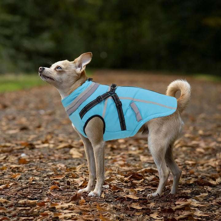 FEimaX Hundemantel Wasserdicht Winddichte Winter Fleece Hundejacke mit Geschirr Hund Wintermantel Wa