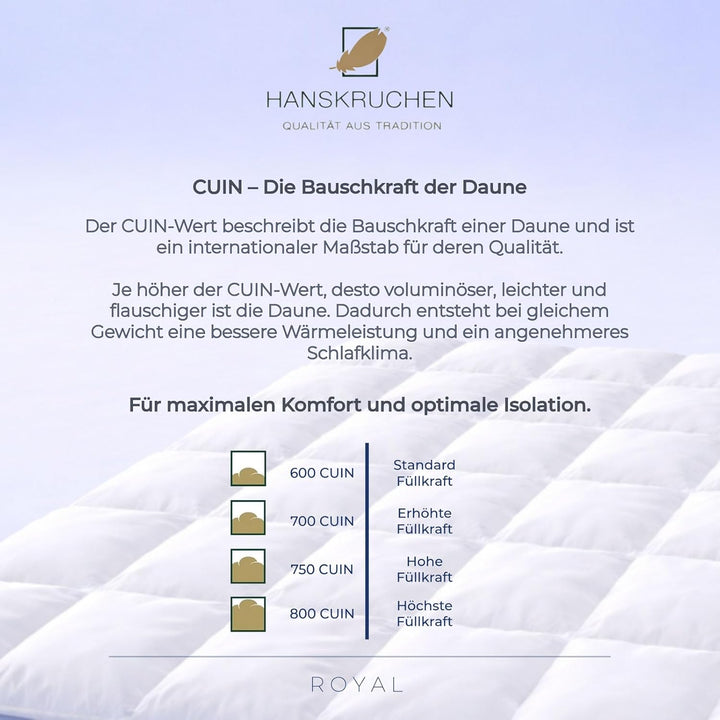 HANSKRUCHEN® Royal Daunendecke 200x200 cm - Warm / Winter - Made in Germany Kassettendecke aus 100%