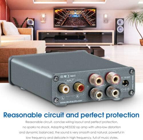 Nobsound Mini Chassis TPA3116 HiFi Verstärker 2.0 Channel Stereo Audio Digital amp HiFi Power Amplif