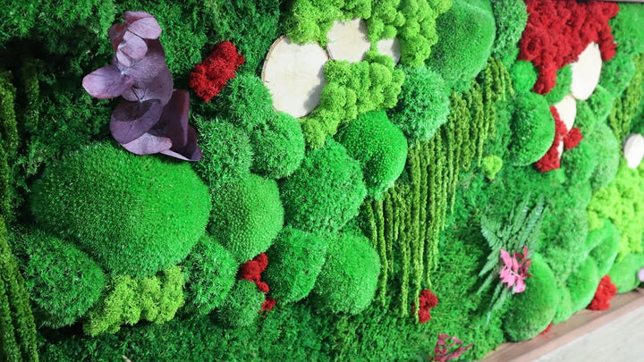 Hello Moss Moosbild - Moos Deko Für Ihr Haus - Bilderrahmen mit Kugelmoos - moderne Mooswand Lebend