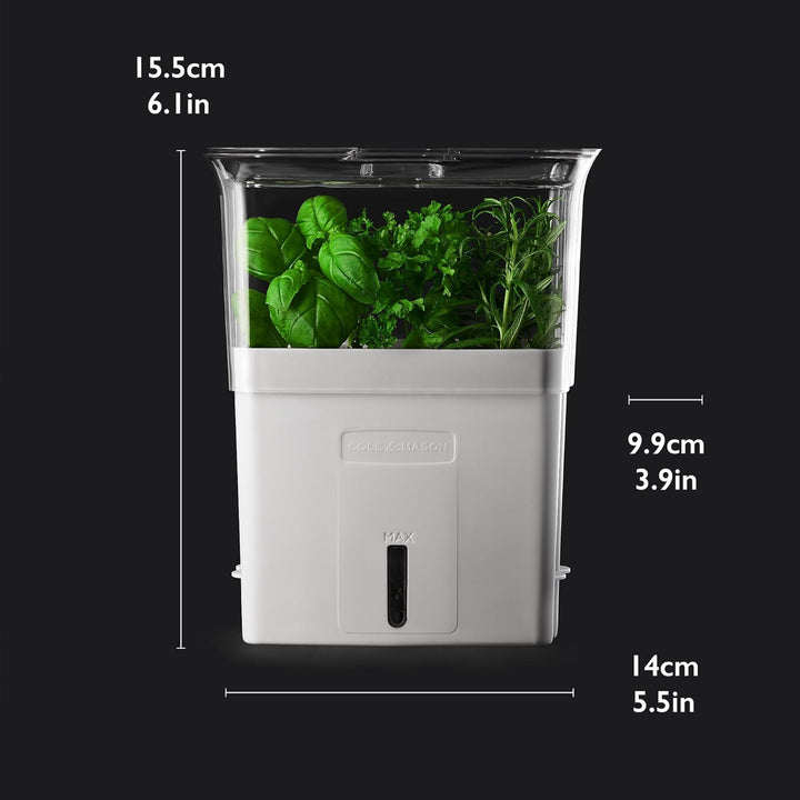 Cole & Mason H105159 Tealby Kräutertopf für frische Kräuter, Schnittkräuter Box/Schnittkräuterbox/Kr