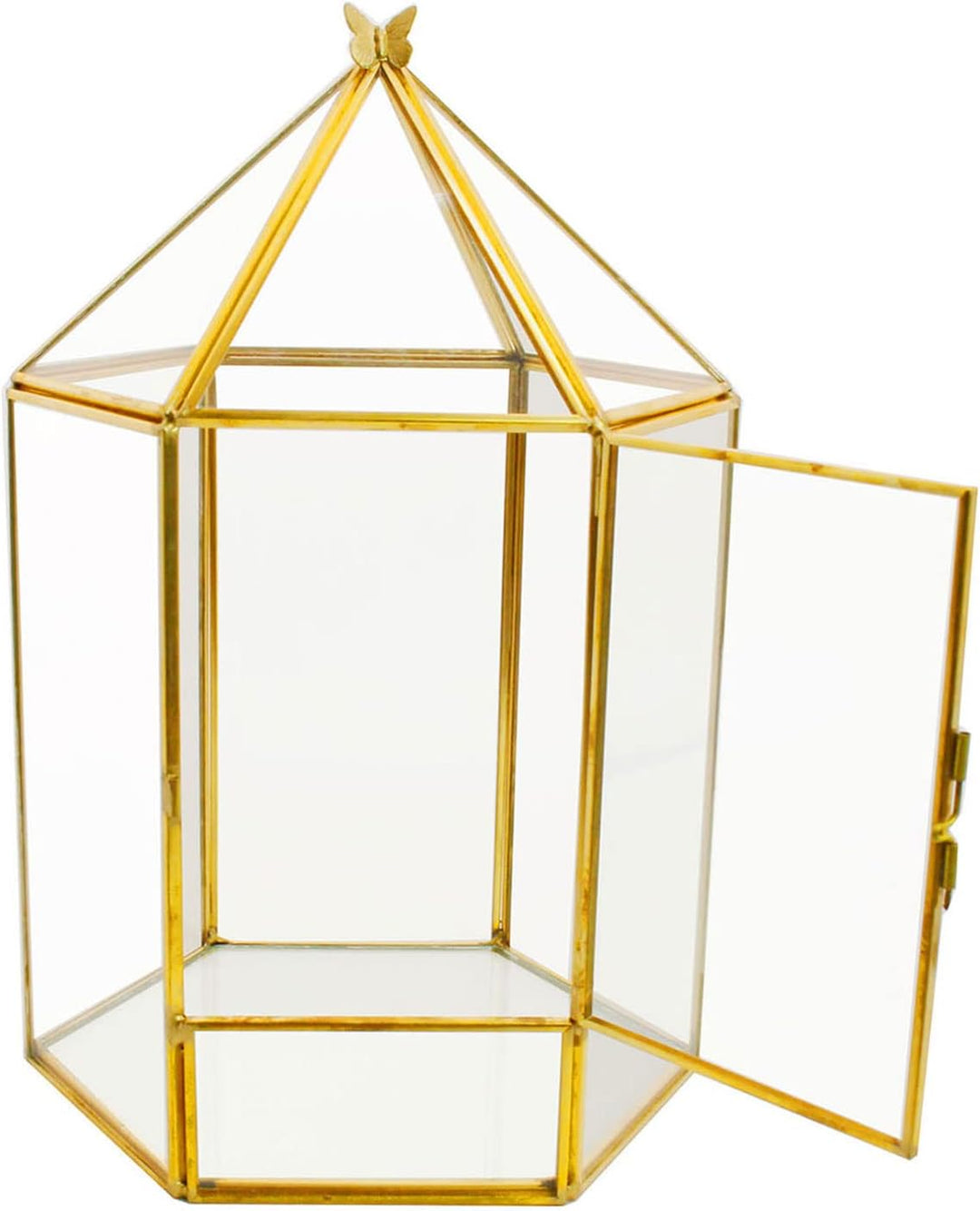 ELEGANTLIFE Geometrisches Pflanzenterrarium aus Glas, Sukkulenten- und Luft-Pflanzgefäss für Zuhause