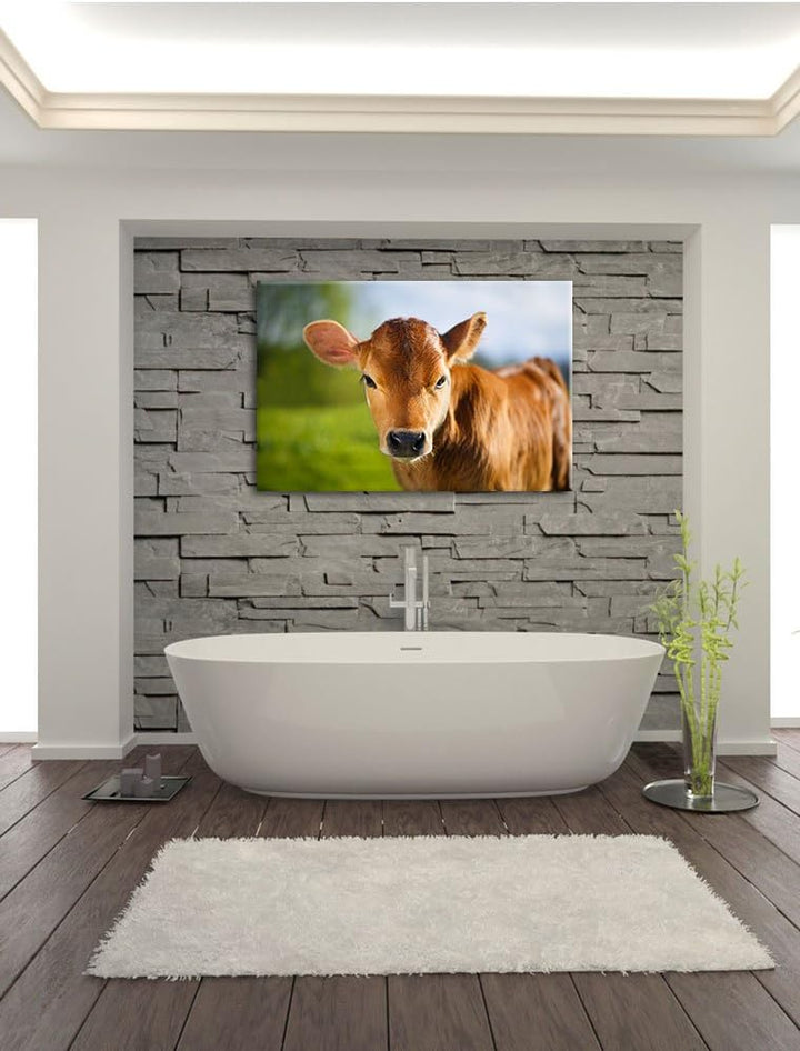 Junge Kuh Kälbchen, Format: 100x70 auf Leinwand, XXL riesige Bilder fertig gerahmt mit Keilrahmen, K